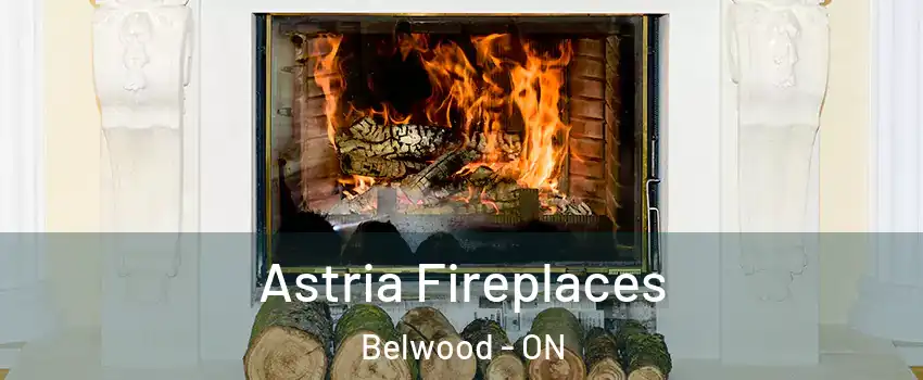  Astria Fireplaces Belwood - ON