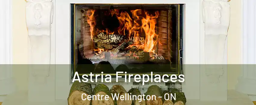  Astria Fireplaces Centre Wellington - ON
