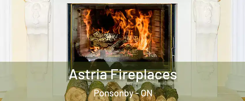  Astria Fireplaces Ponsonby - ON