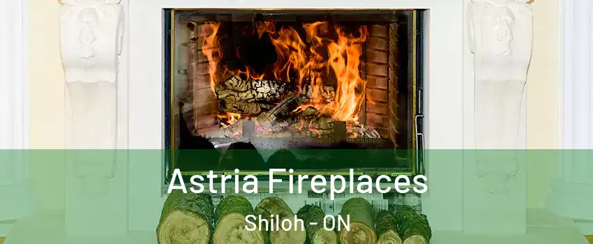  Astria Fireplaces Shiloh - ON