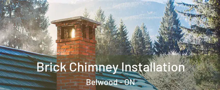  Brick Chimney Installation Belwood - ON