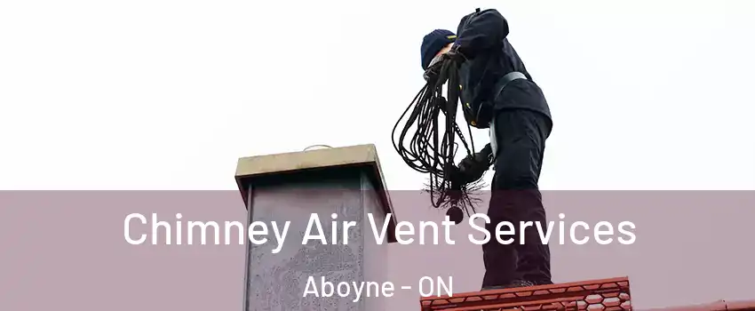  Chimney Air Vent Services Aboyne - ON