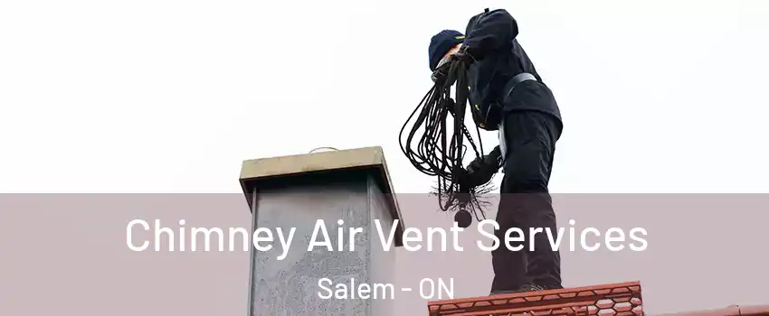  Chimney Air Vent Services Salem - ON
