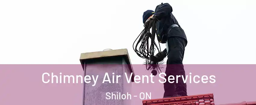  Chimney Air Vent Services Shiloh - ON
