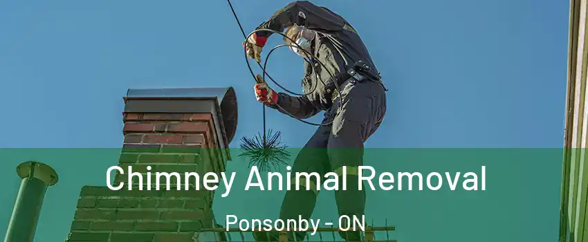 Chimney Animal Removal Ponsonby - ON