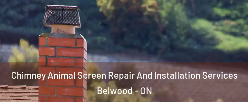  Chimney Animal Screen Repair And Installation Services Belwood - ON