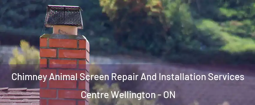  Chimney Animal Screen Repair And Installation Services Centre Wellington - ON
