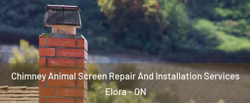 Chimney Animal Screen Repair And Installation Services Elora - ON