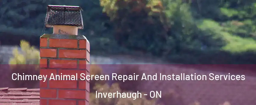 Chimney Animal Screen Repair And Installation Services Inverhaugh - ON