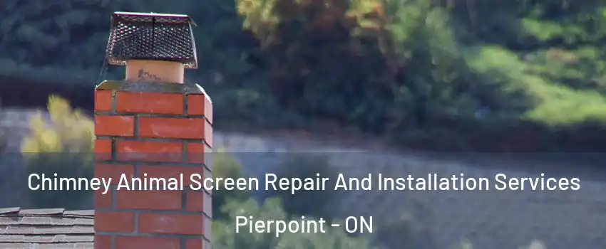  Chimney Animal Screen Repair And Installation Services Pierpoint - ON