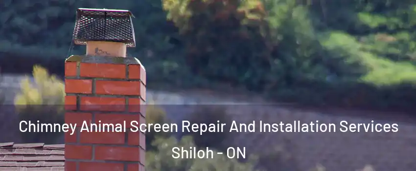 Chimney Animal Screen Repair And Installation Services Shiloh - ON