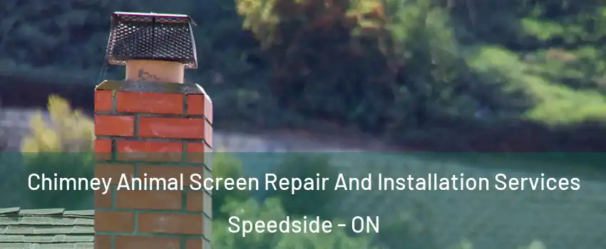  Chimney Animal Screen Repair And Installation Services Speedside - ON