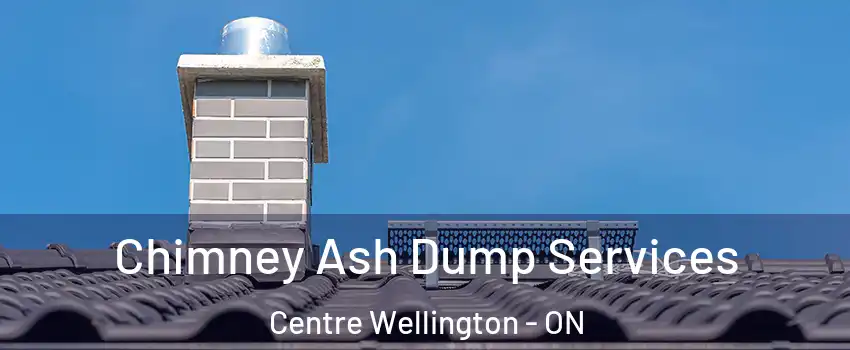  Chimney Ash Dump Services Centre Wellington - ON