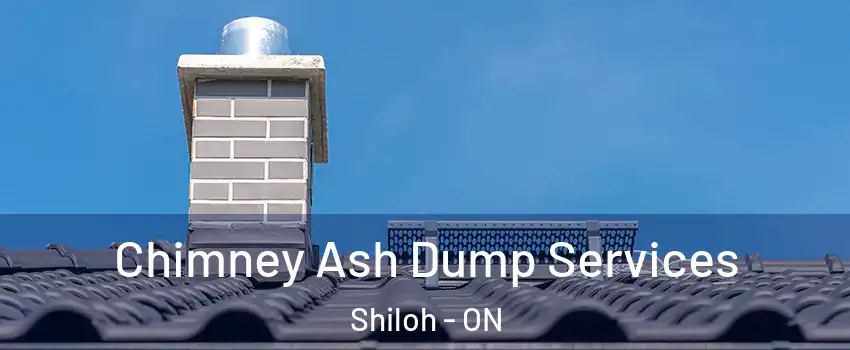  Chimney Ash Dump Services Shiloh - ON
