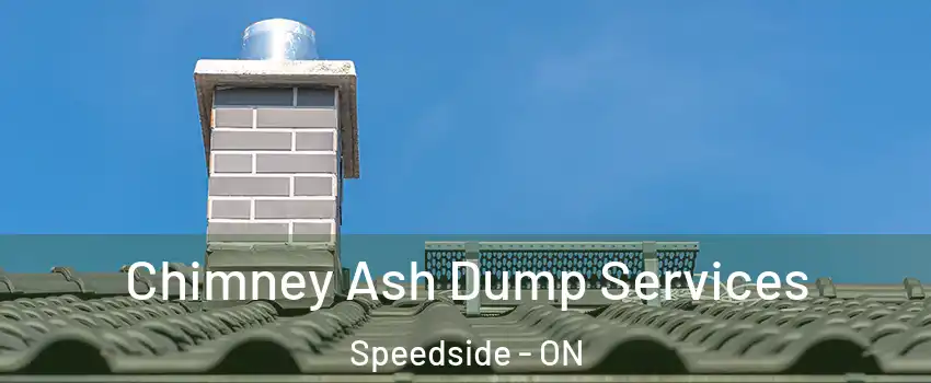  Chimney Ash Dump Services Speedside - ON