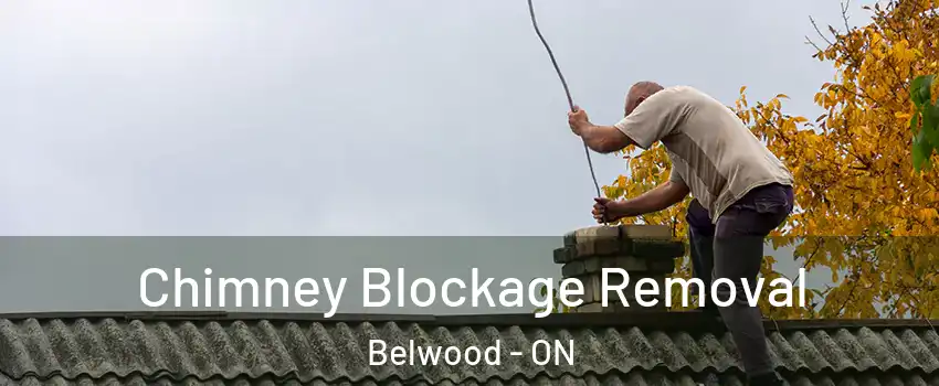  Chimney Blockage Removal Belwood - ON