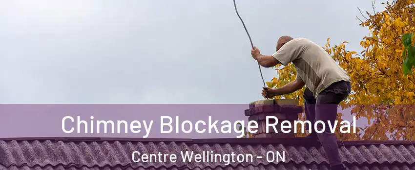  Chimney Blockage Removal Centre Wellington - ON