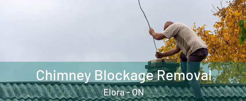  Chimney Blockage Removal Elora - ON