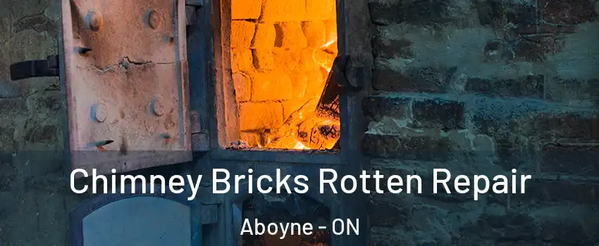  Chimney Bricks Rotten Repair Aboyne - ON