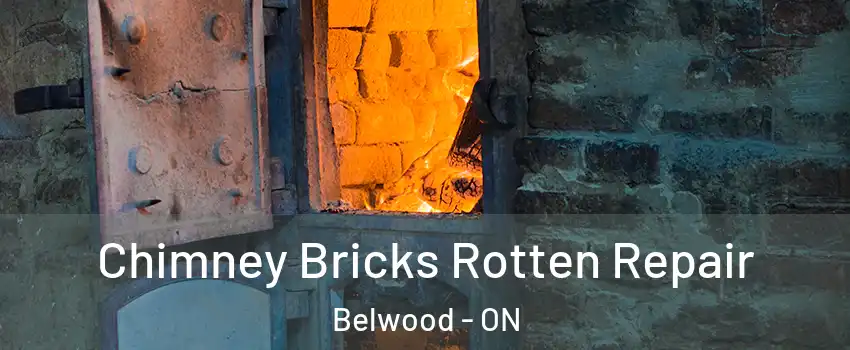  Chimney Bricks Rotten Repair Belwood - ON