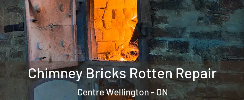  Chimney Bricks Rotten Repair Centre Wellington - ON