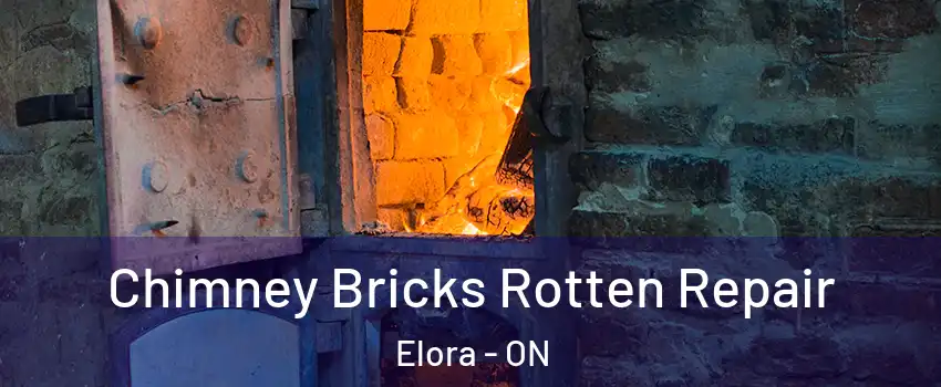  Chimney Bricks Rotten Repair Elora - ON