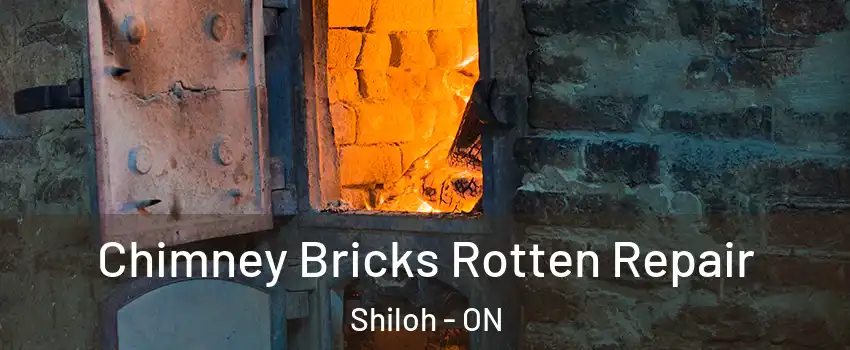  Chimney Bricks Rotten Repair Shiloh - ON