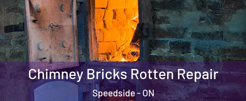  Chimney Bricks Rotten Repair Speedside - ON