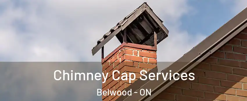  Chimney Cap Services Belwood - ON