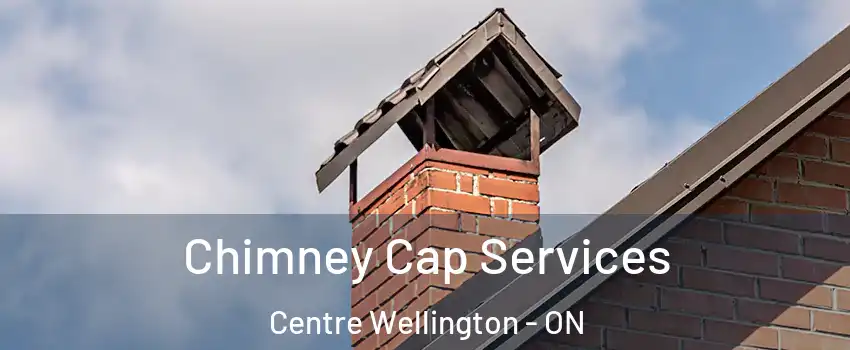  Chimney Cap Services Centre Wellington - ON