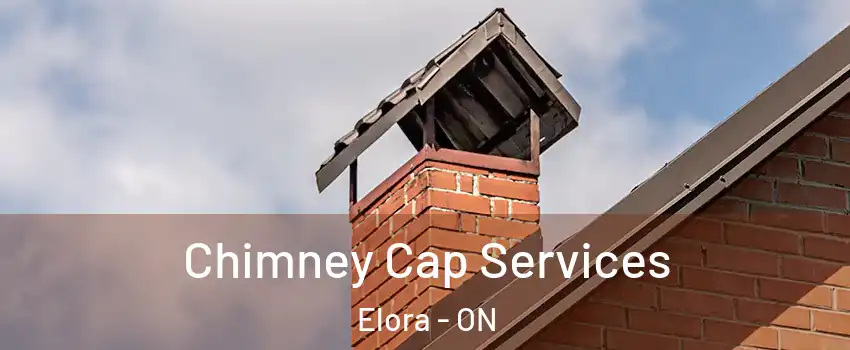  Chimney Cap Services Elora - ON