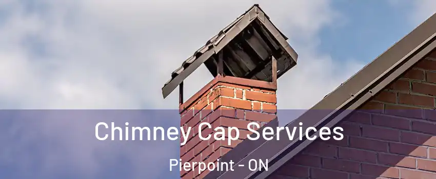  Chimney Cap Services Pierpoint - ON