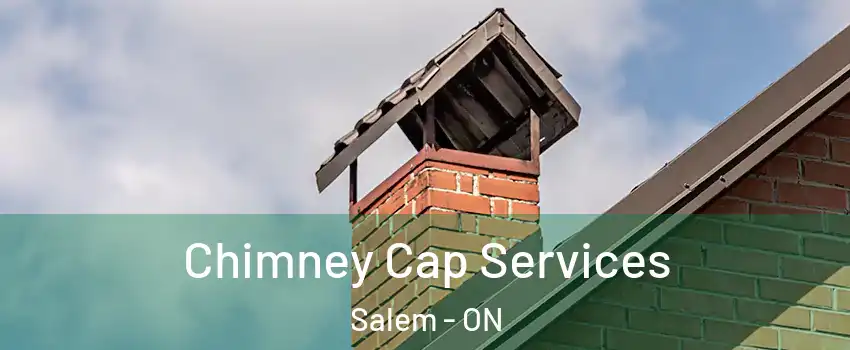  Chimney Cap Services Salem - ON