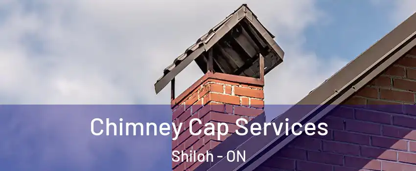  Chimney Cap Services Shiloh - ON