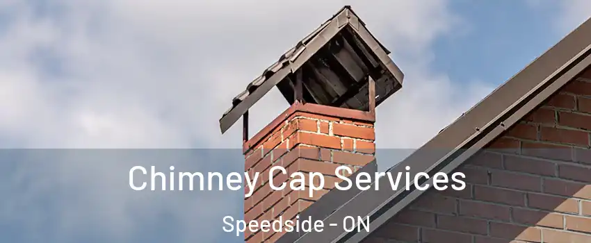  Chimney Cap Services Speedside - ON