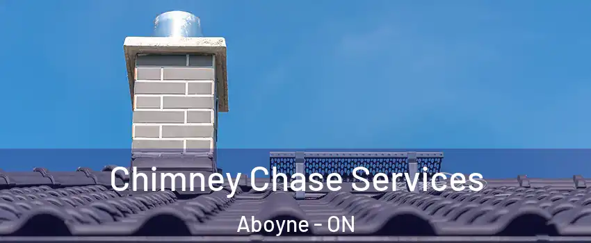 Chimney Chase Services Aboyne - ON