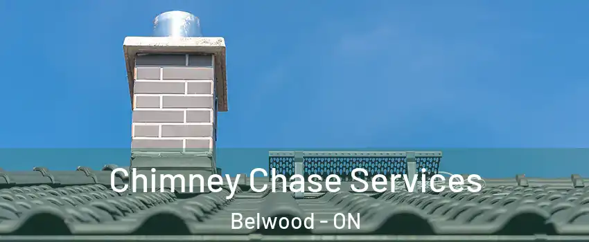  Chimney Chase Services Belwood - ON