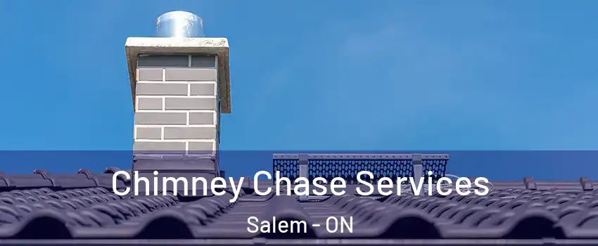 Chimney Chase Services Salem - ON