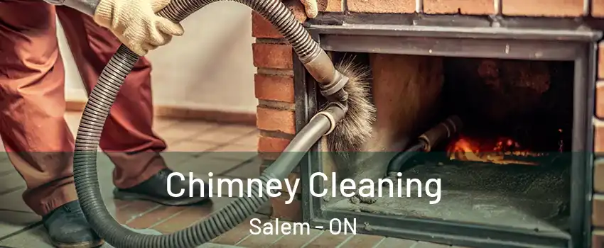 Chimney Cleaning Salem - ON