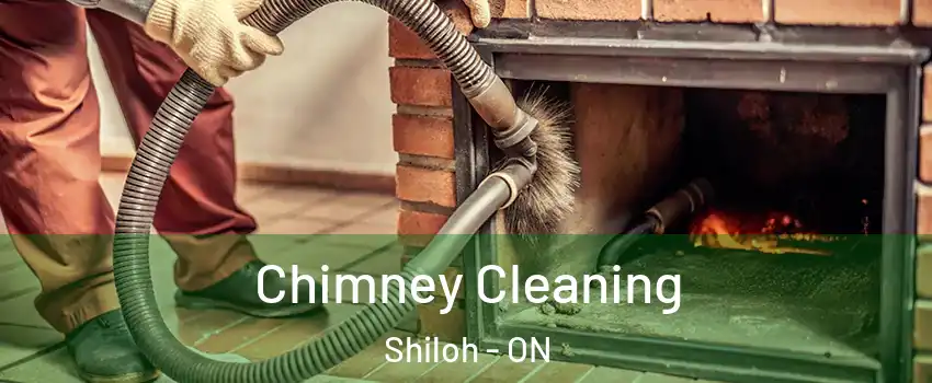  Chimney Cleaning Shiloh - ON
