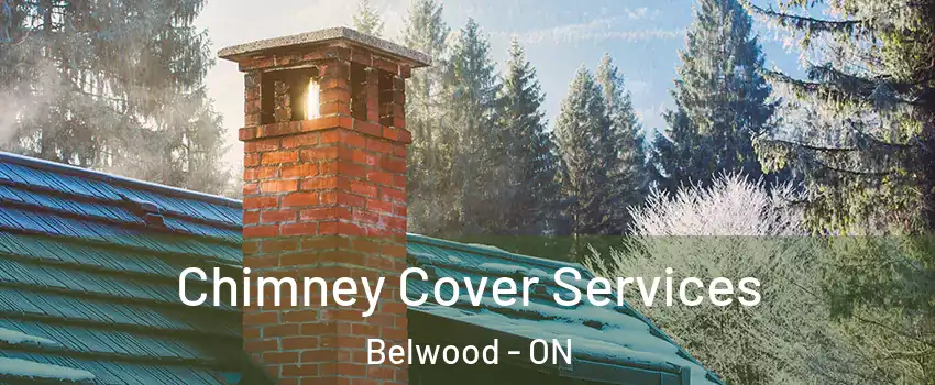  Chimney Cover Services Belwood - ON