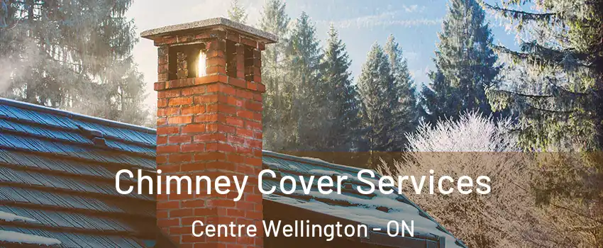  Chimney Cover Services Centre Wellington - ON