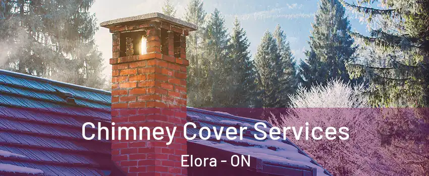 Chimney Cover Services Elora - ON