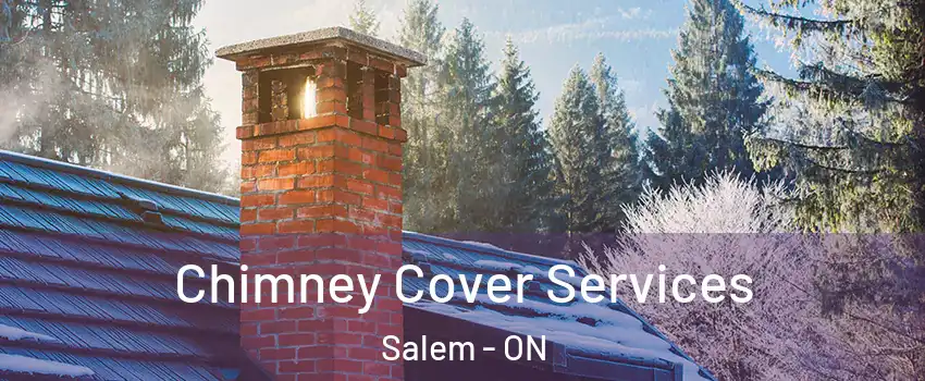 Chimney Cover Services Salem - ON