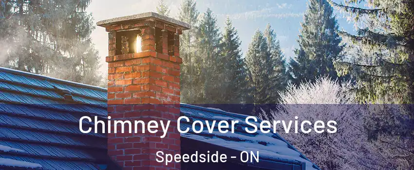  Chimney Cover Services Speedside - ON