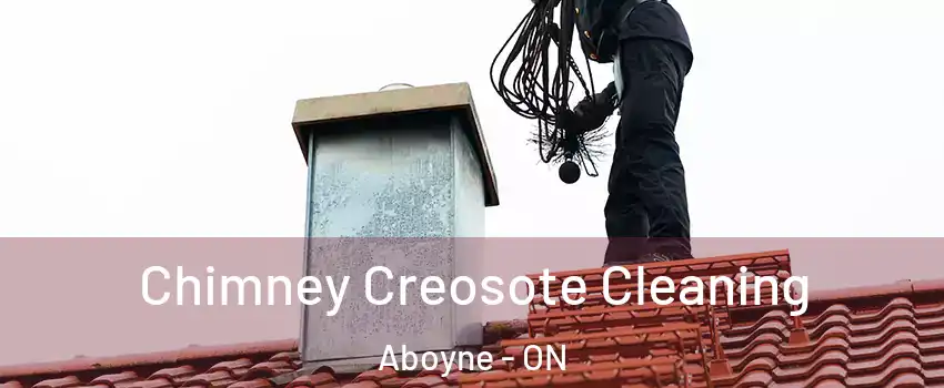  Chimney Creosote Cleaning Aboyne - ON