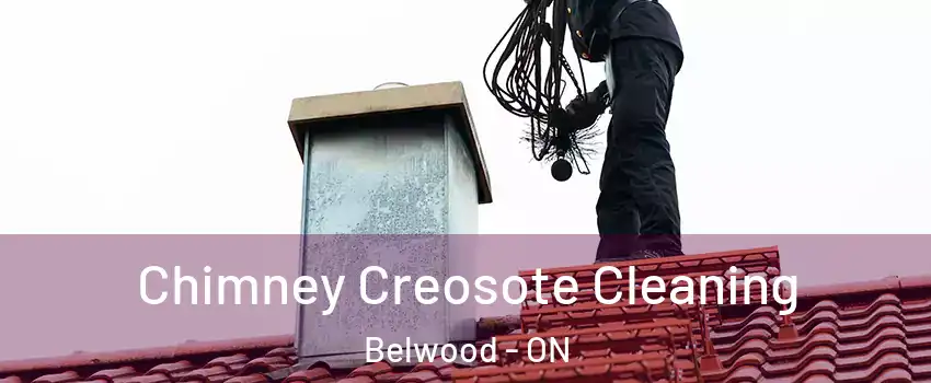  Chimney Creosote Cleaning Belwood - ON