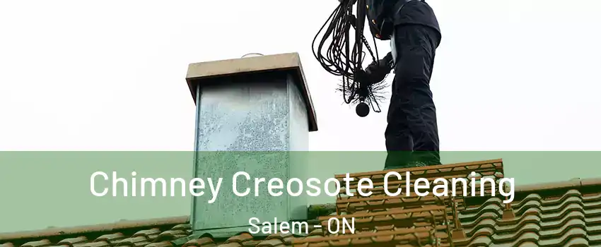  Chimney Creosote Cleaning Salem - ON