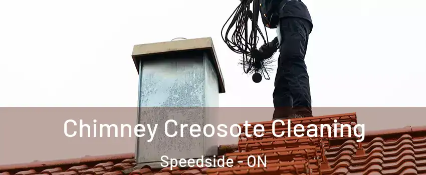  Chimney Creosote Cleaning Speedside - ON