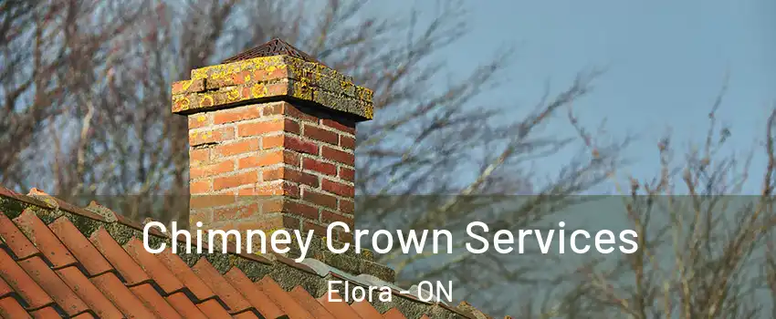  Chimney Crown Services Elora - ON